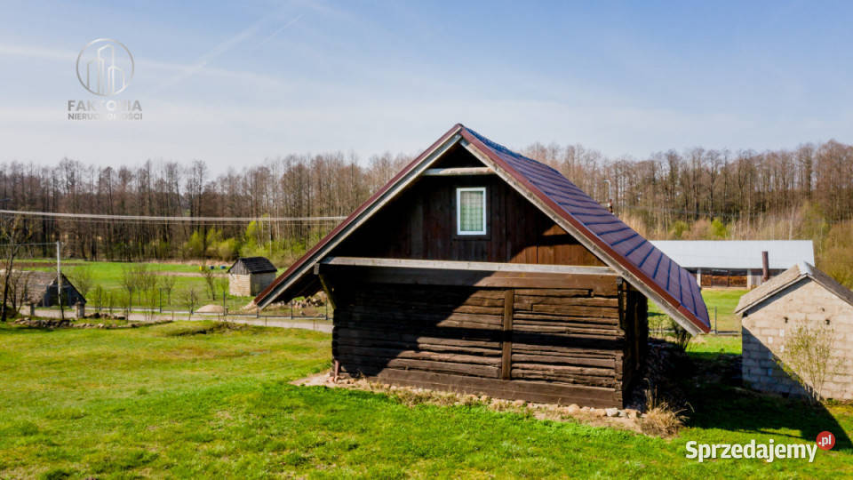 Grunt 7300m2 Okopy asfalt sprzedam