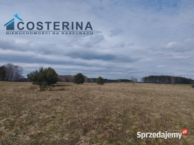 Działka Karsin 1222m2