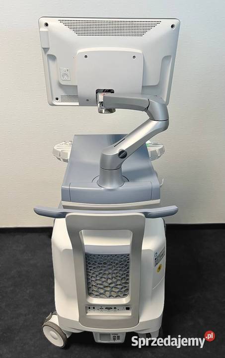 GE Healthcare Voluson E10