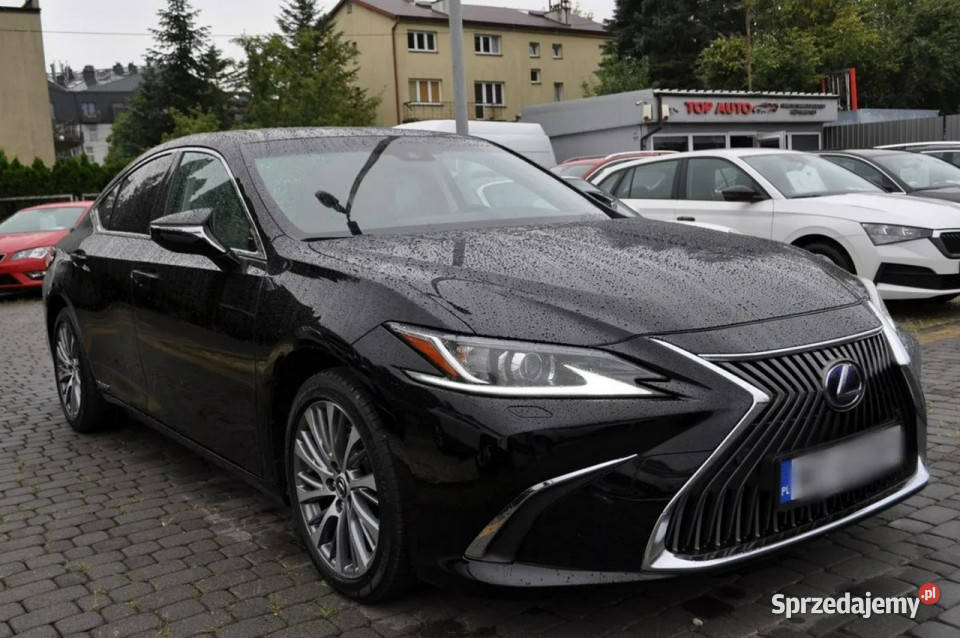 Lexus ES300 LEXUS ES 300h Hybryd Business
