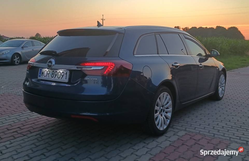 Opel Insignia nieuszkodzony Nowe Piekuty