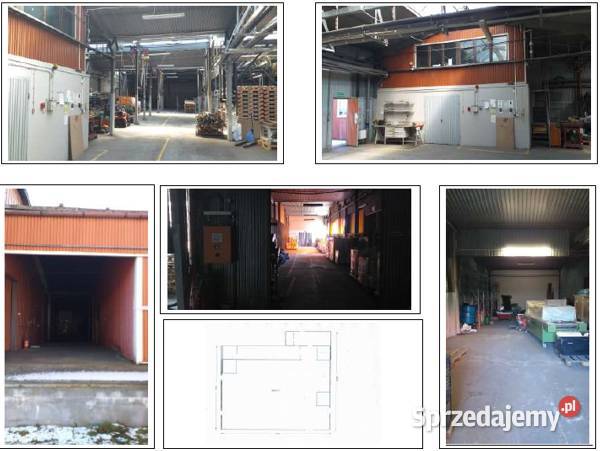 Hala produkcyjna z magazynem wynajem 205 PLNm2 Dąbrowa Górnicza