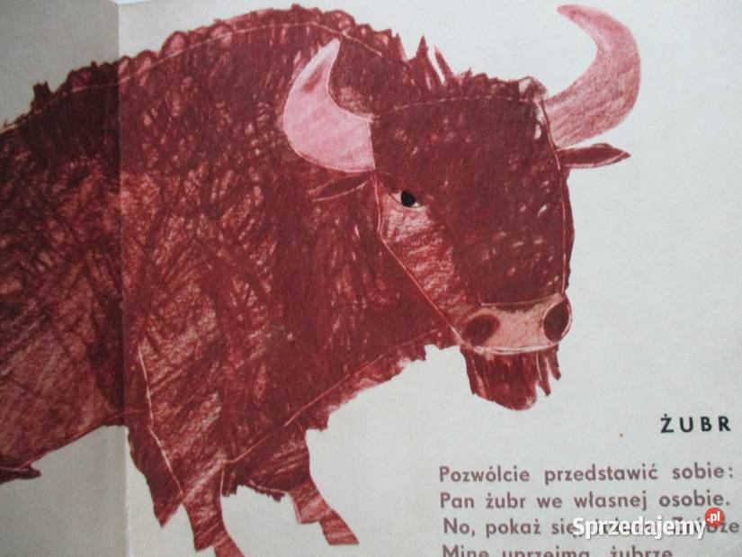 Plastusiowy pamiętnik ZOO Brzechwa Kownacka Łódź sprzedam