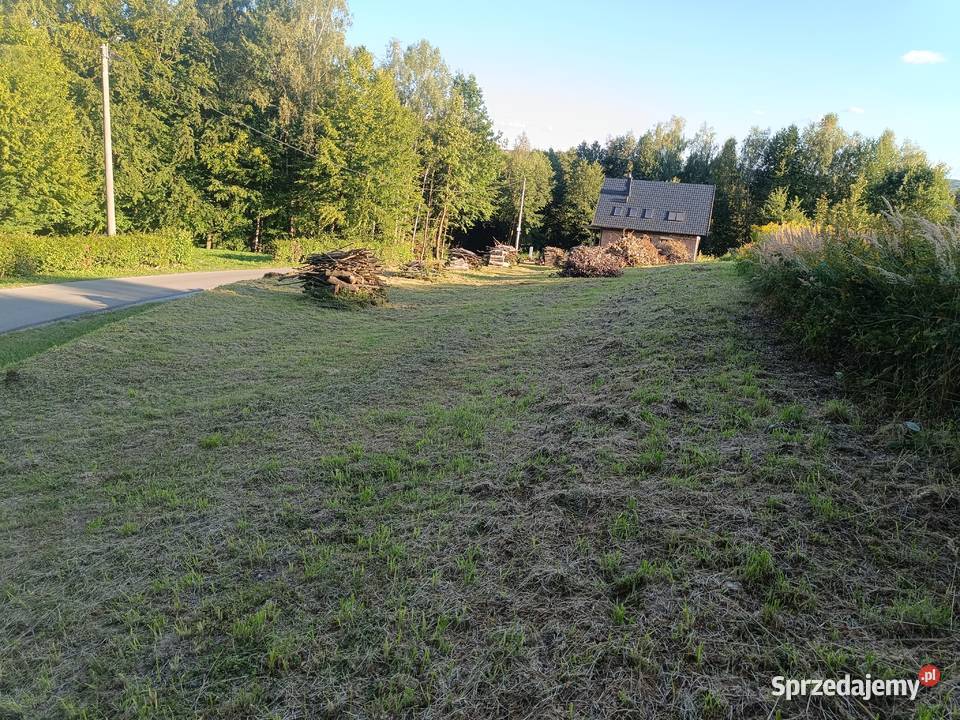 Sprzedam działkę 10 ar z WZ Brzezówka gm Hyżne Sprzedaż podkarpackie