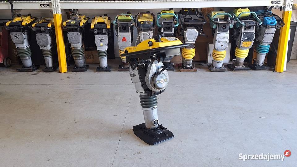 Skoczek Stopa WACKER NEUSON BS 502 Plus 11in Trzebnica