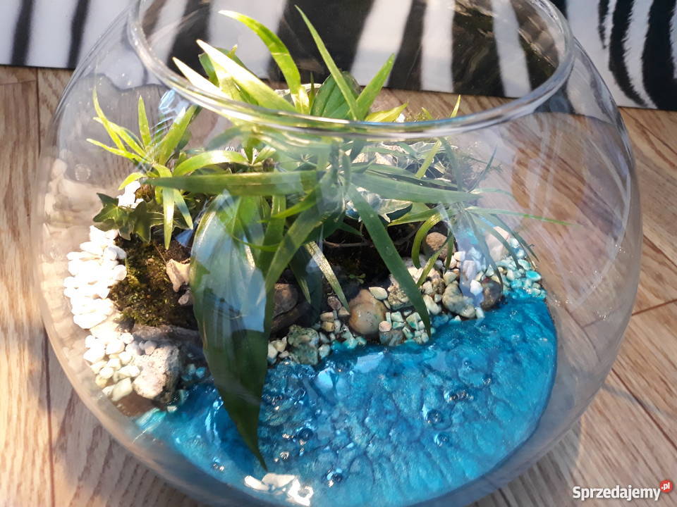 Las w szkle Rajska Wyspa pomorskie Gdańsk