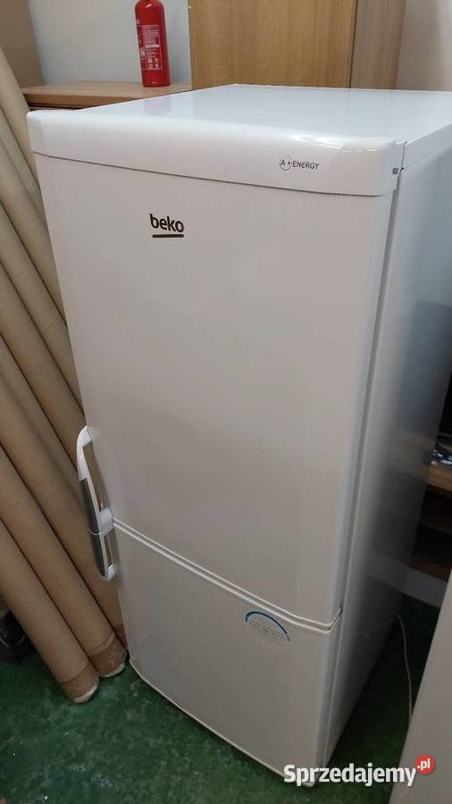 Lodówka Beko 135 wielkopolskie Poznań sprzedam