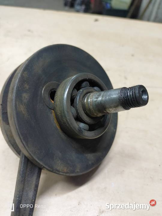 Wał Jawa 50 ogar Mustang Łubno