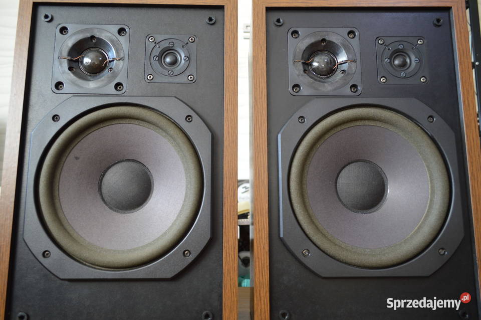 Ciepłe i Muzykalne CARNEGIE 90 Śliczne Audio