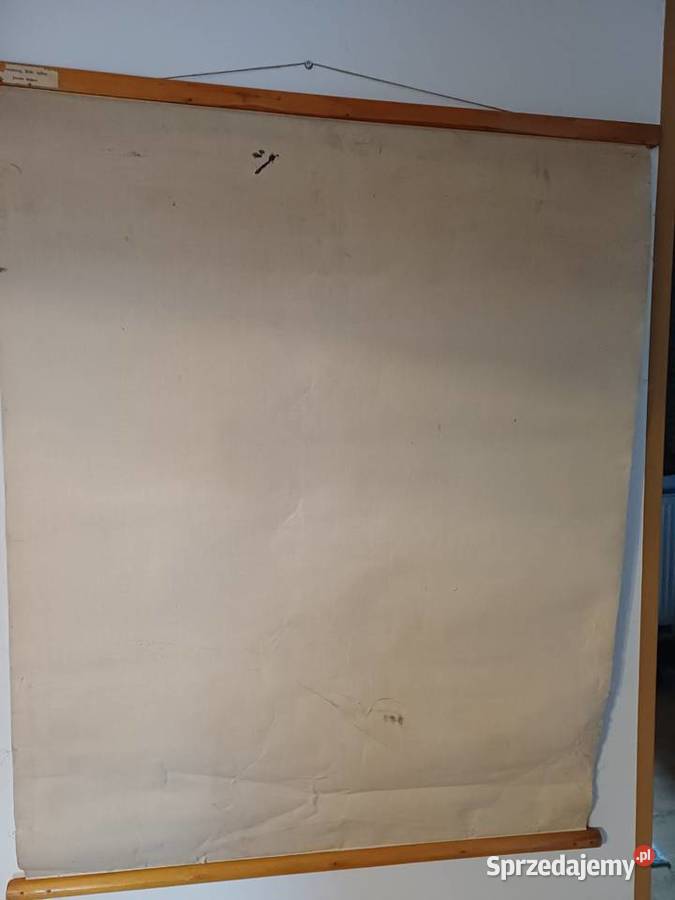 vintage litografie na płótnie