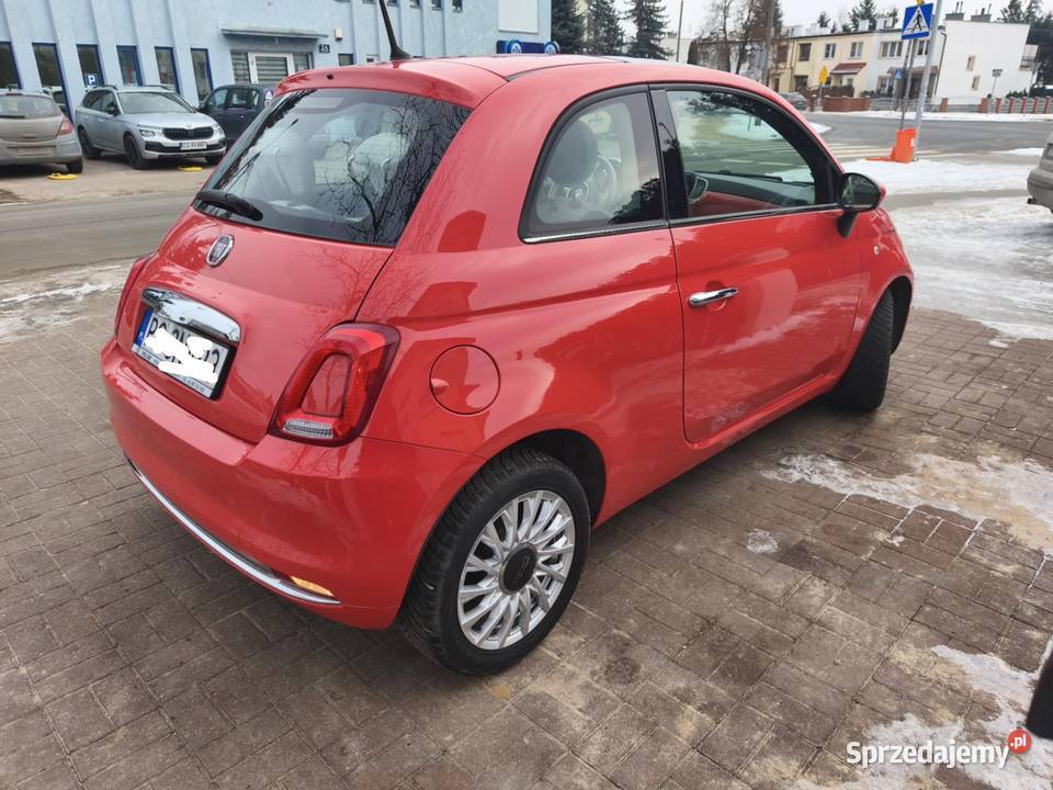 Fiat 500 Lounge polski salon Toruń
