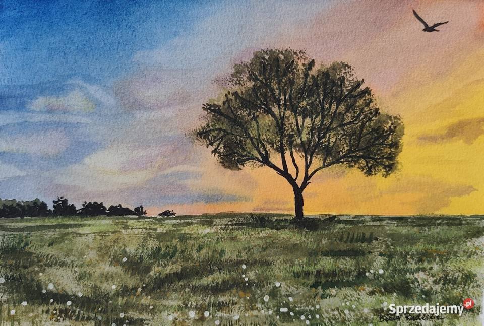 Akwarela Akwarelka Obraz pt Samotnicy 19x27 Walentynów