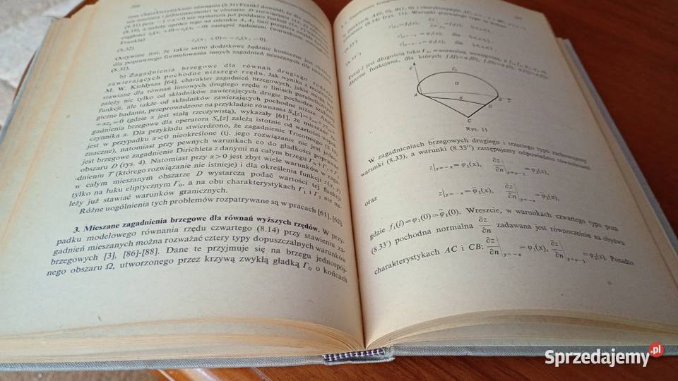 Równania liniowe fizyki matematycznej Babicz Gdańsk