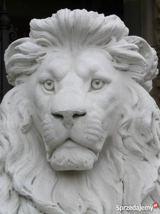 GIPSY ŚNIEŻNOBIAŁE firmy NOWY LĄD CERAMICZNY Gdańsk