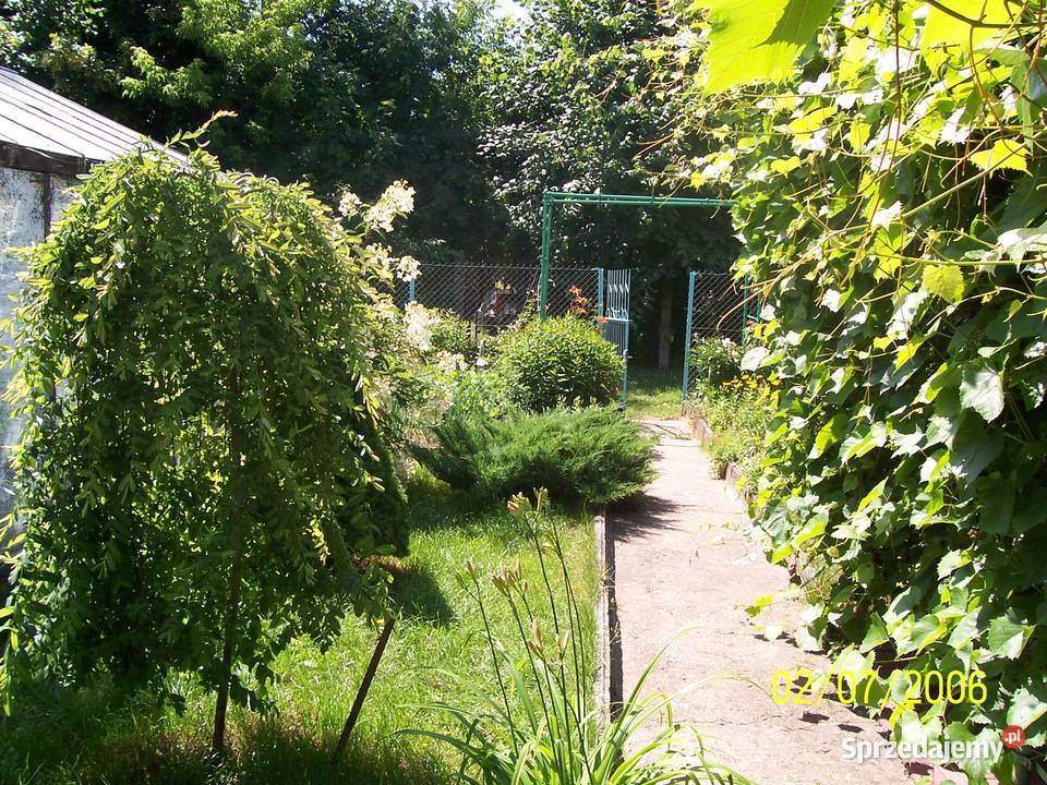 Sprzedam działkę ROD Jaroszówka 415m2 podlaskie Białystok sprzedam