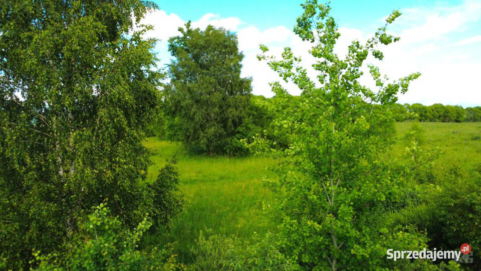 sprzedaży gruntu Lutowiska 23733 metry