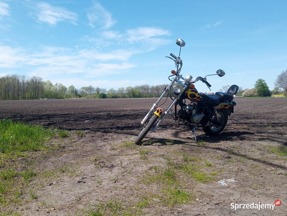 Chopper kinroad xt50q do nego Królikowice sprzedam
