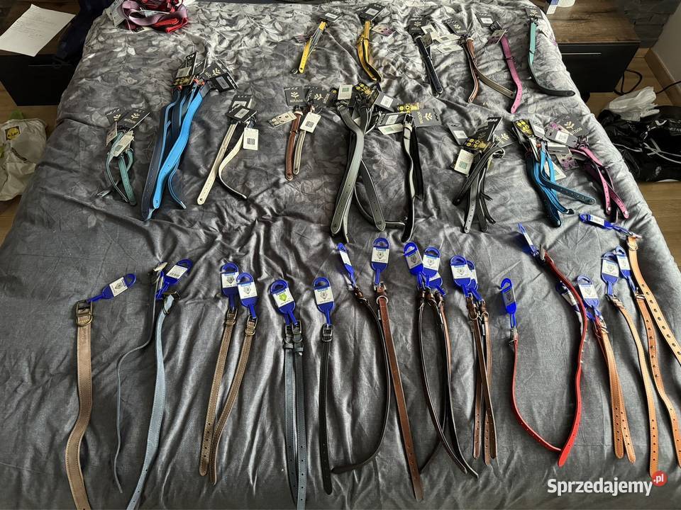 Akcesoria psów różne rozmiary kolory Namysłów