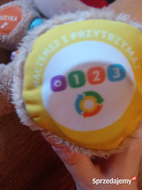 Szczeniaczek Uczniaczek Częstochowa sprzedam