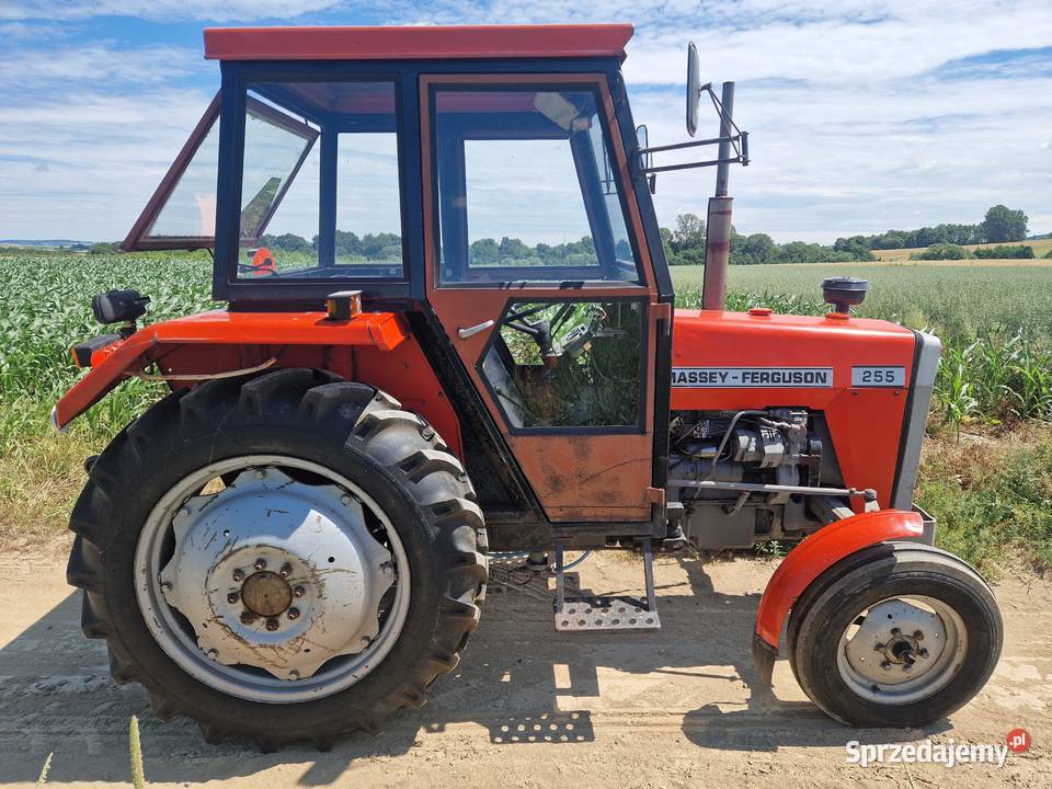 Traktor MF 255 nie pracował w polu był jako TAXI Wolbrom