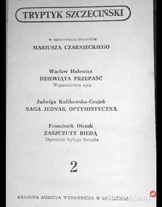 Tryptyk szczeciński Tom 2 Dziewiąta przepaść Chełm