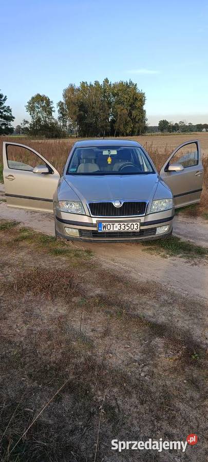 Skoda Octavia 2 16 MPI 102 NAJLEPSZY SILNIK Hatchback Śrem sprzedam
