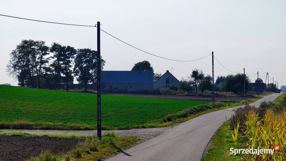 Sprzedam gospodarstwo dom budynki gospodarcze 1000m2 kujawsko-pomorskie