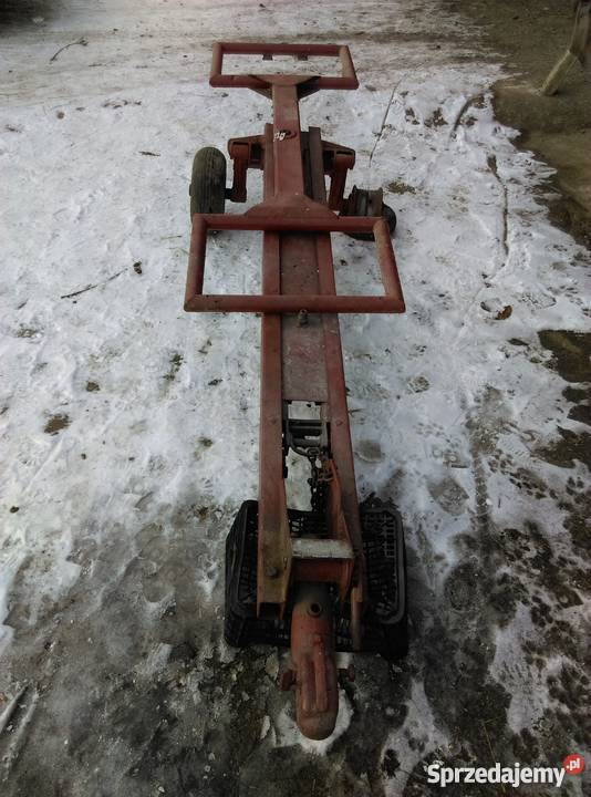 Motyleklaweta Sprzedażzamiana Sieraków