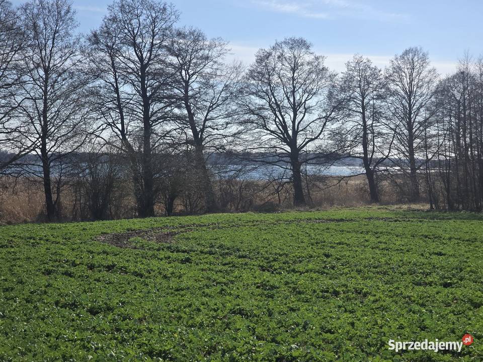 Z linią brzegową na szlaku Radzieje