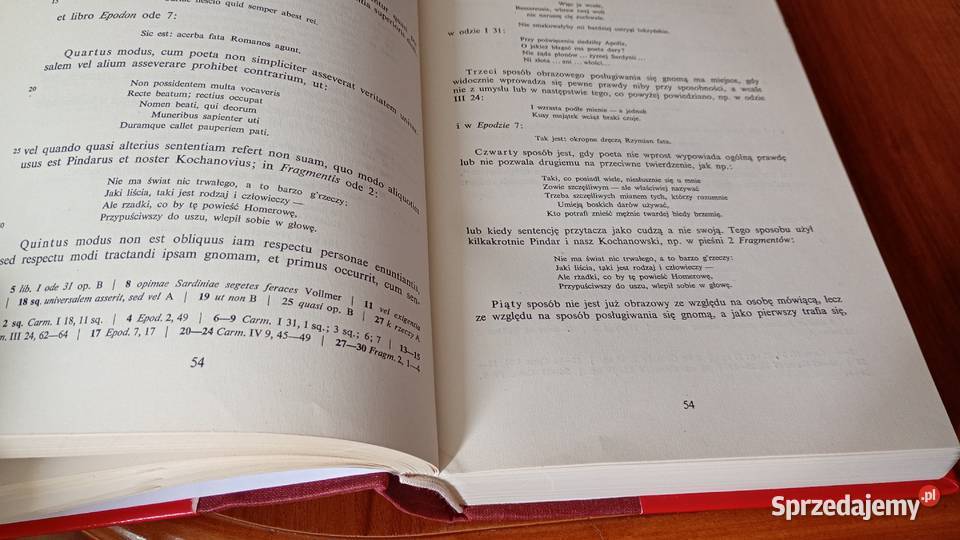 Wykłady poetyki Praecepta poetica Maciej Gdańsk