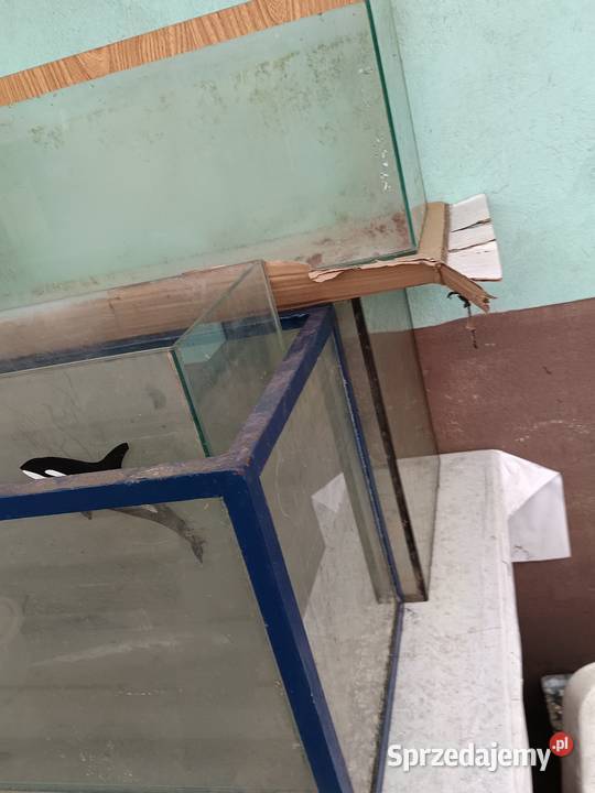 Sprzedam komplet akwarium łódzkie Słowik