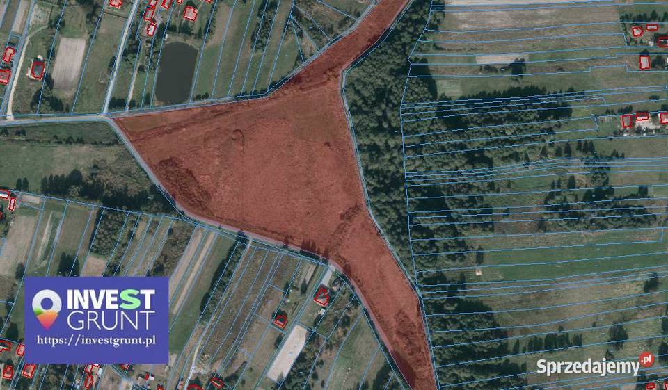 530 ha grunty rolne przetarg na dzierżawę Przewrotne