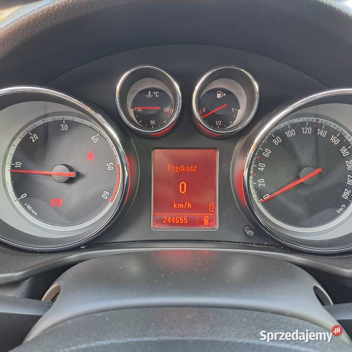 Opel Insignia 100 Bezwypadkowa Nawigacja Ledy Sierpc