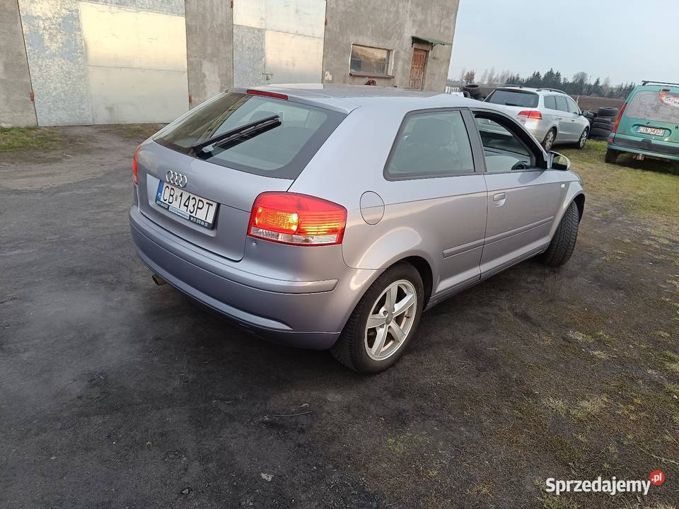 Zadbana audiczka zamienie kurtyny powietrzne Inowrocław