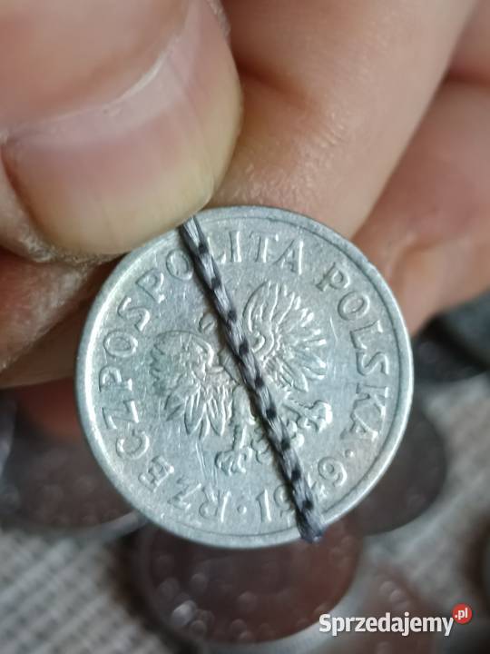 Sprzedam 20 gr 1949 r nalewka na 2 lekka skretka Numizmatyka Chełm