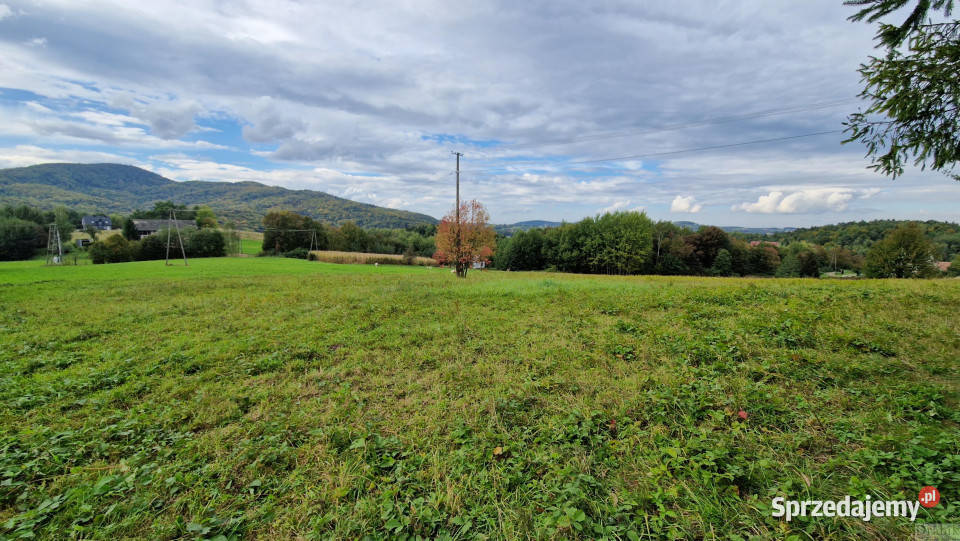 Działka Zegartowice 4000m2 szambo sprzedam