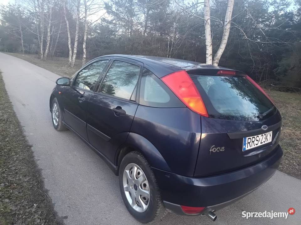 Ford Focus 16 BenzynaZadbanyBez Korozji Sędziszów Małopolski