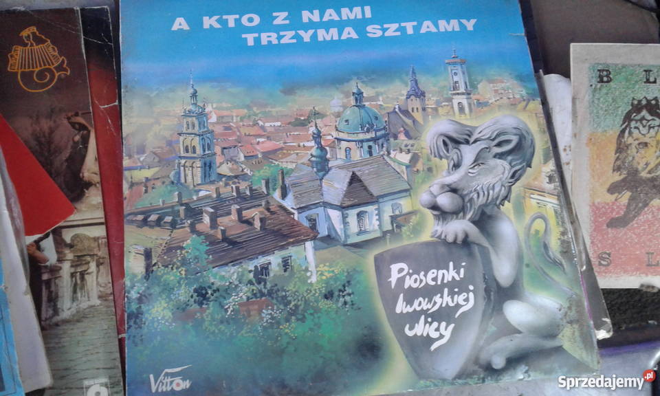 Płyty winylowe płyta winylowa podkarpackie Leżajsk