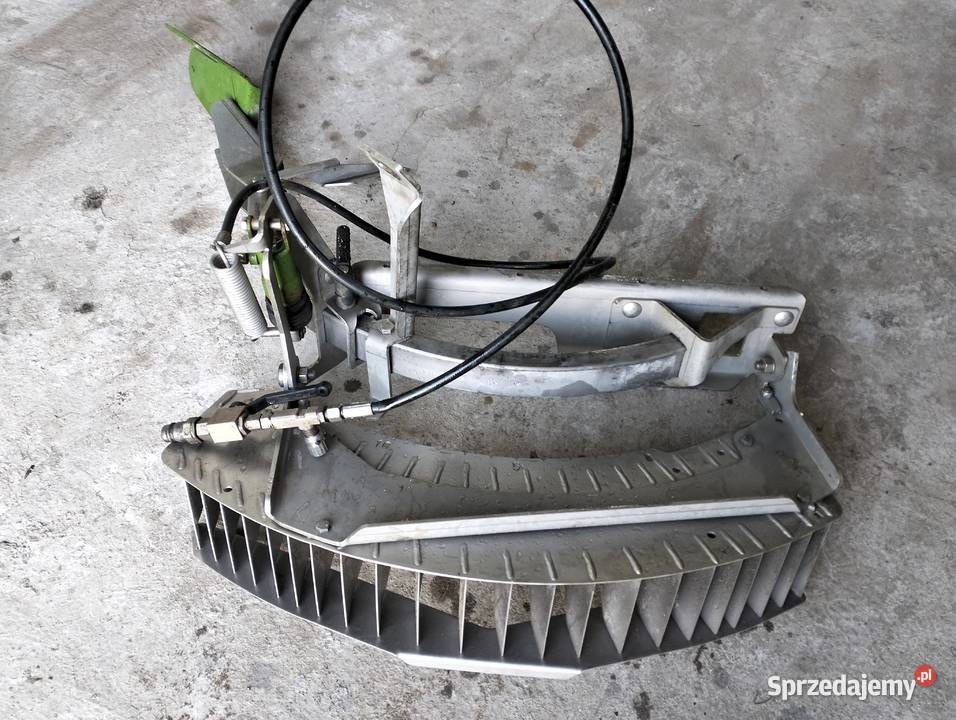 Limiter amazone wielkopolskie Ostrzeszów