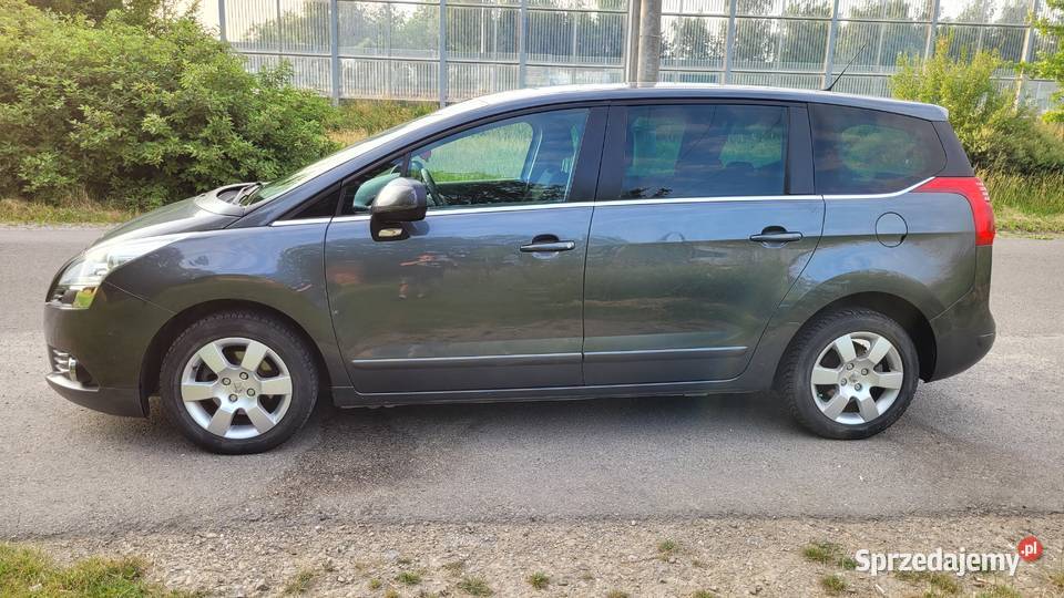 Peugeot 5008 16 benz Żuklin