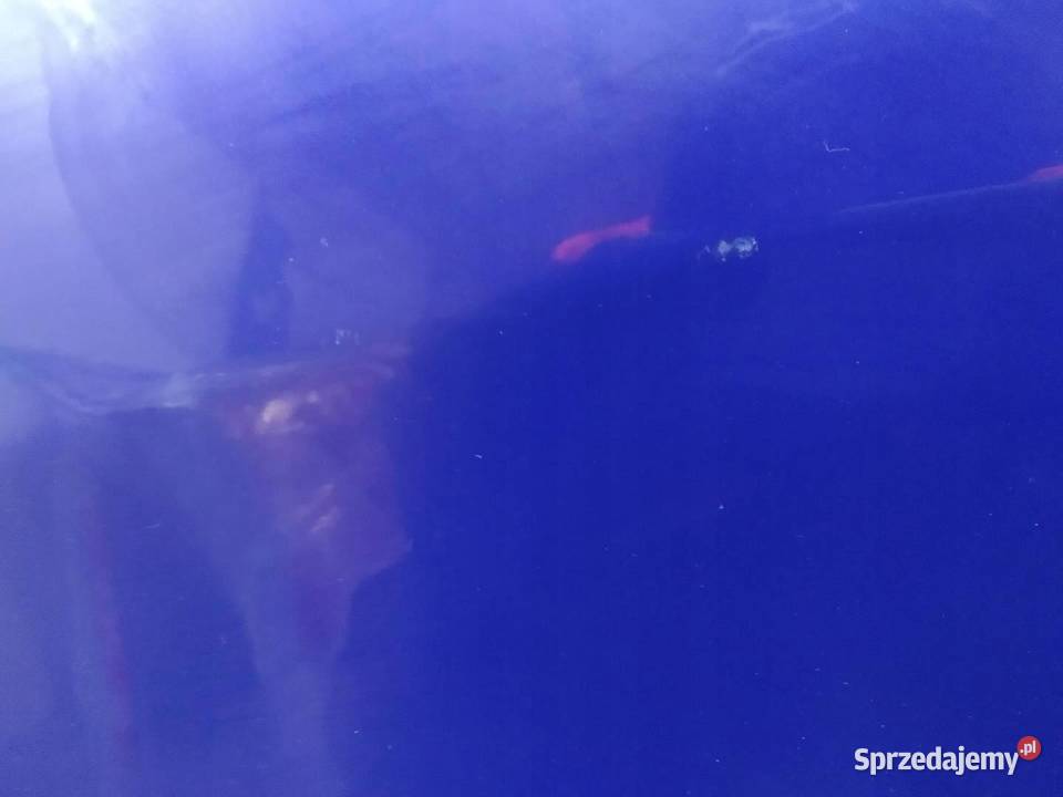 DRZWI LEWE PRZÓD T9 EEGD Peugeot 308 II 2014 osobowe