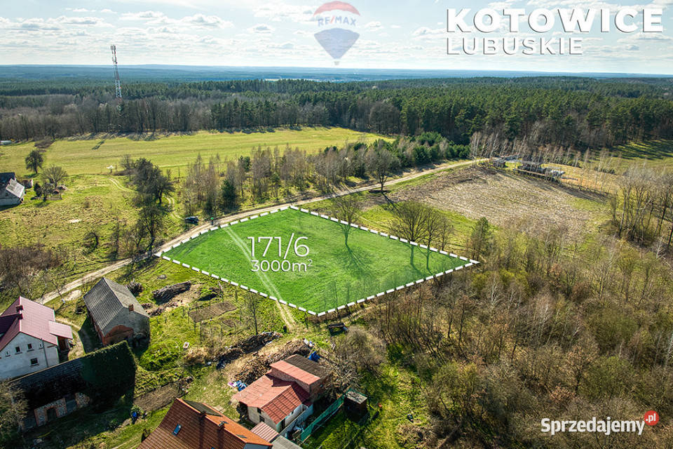 Działka w Kotowicach z warunkami zabudowy 3000m2 0m Kotowice