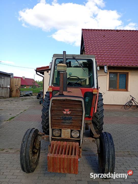 Ciągnik rolniczy Massey Ferguson 590 sprowadzony Massey Ferguson kujawsko-pomorskie Sośno