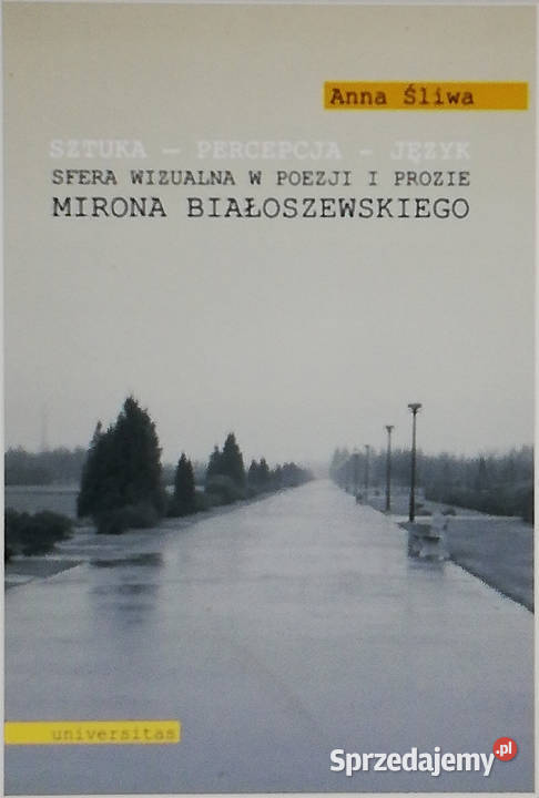 Sztuka percepcja język łódzkie