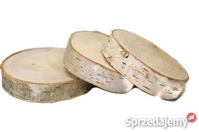 Plastry drewniane szlifowany brzoza 6 10