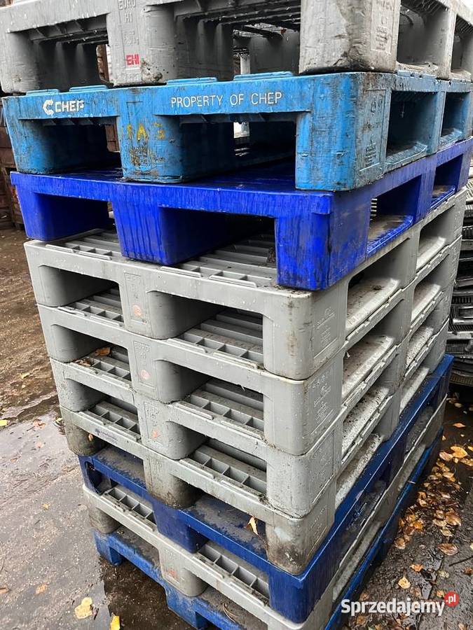 Palety plastikowe euro120x80 Produkcja Legionowo
