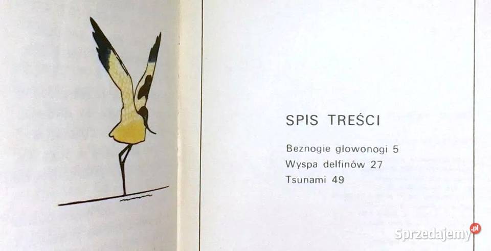 Wyspa delfinów Światosław Sacharnow Chełm