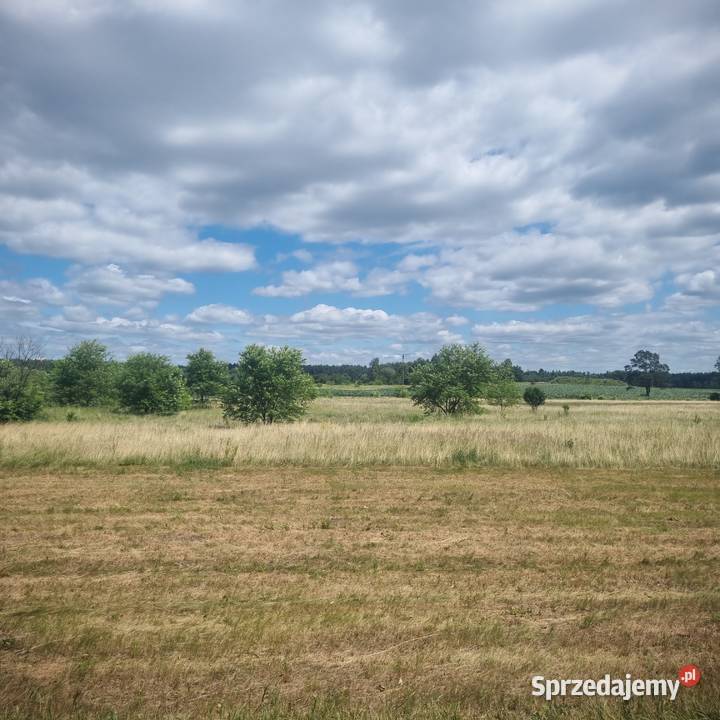 Wynajmę DUŻĄ Działkę pod Fotowoltaikę lub inne Działalności