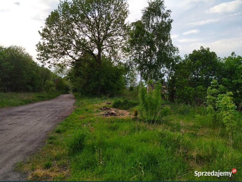 Działka z dostępem do mediów Możliwość zabudowy Sprzedaż zachodniopomorskie Wilczogóra