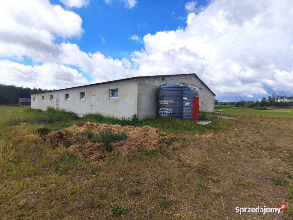 Syndyk sprzeda nieruchomość zabudowaną Nowa Wieś